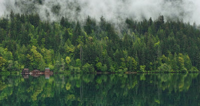 olympic_peninsula