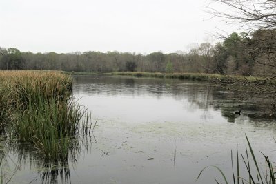 Creekfield Lake