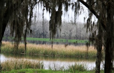 Forty Acre Lake