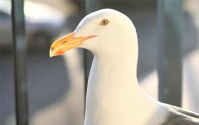 May 2019 Pictures