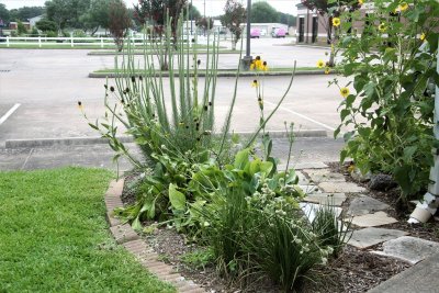 Fort Bend Master Gardners Demonstration Gardens
