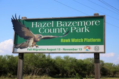 Hazel Bazemore County Park, Corpus Christi, TX