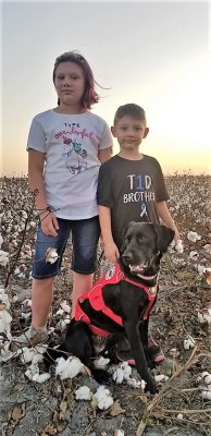 The Zona Family in their Cotton Field, Odem TX