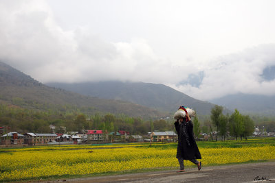 Farmer at a Mustard Field