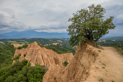 Melnik