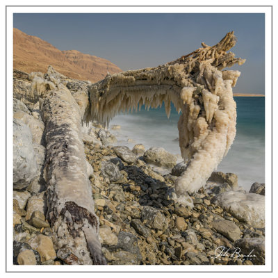 20191010045Editdeadsea3web.jpg