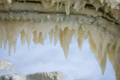 Dead Sea ים המלח 