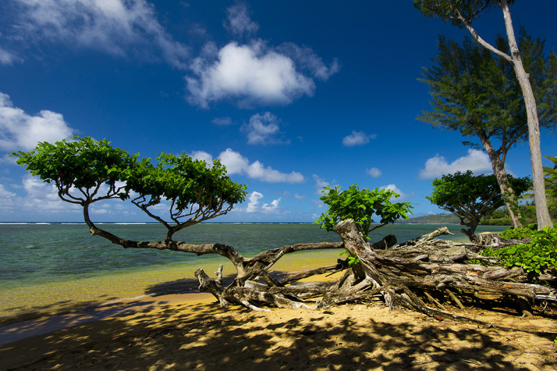 Kauai - Secret Beach