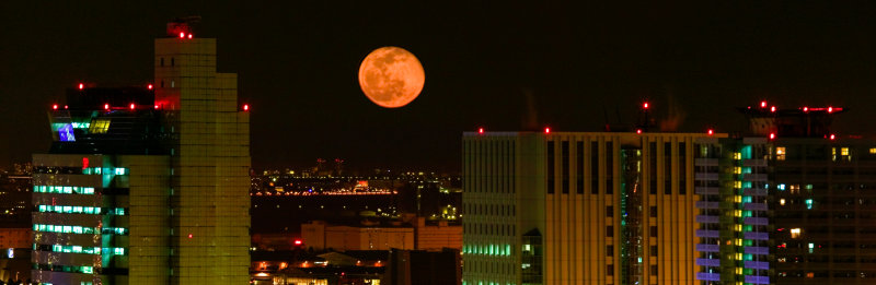 Tokyo Moonrise