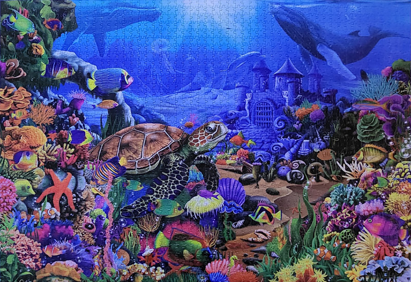 2000 Undersea Turtle