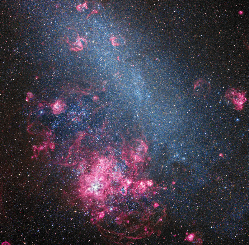 The Large Magellanic Cloud