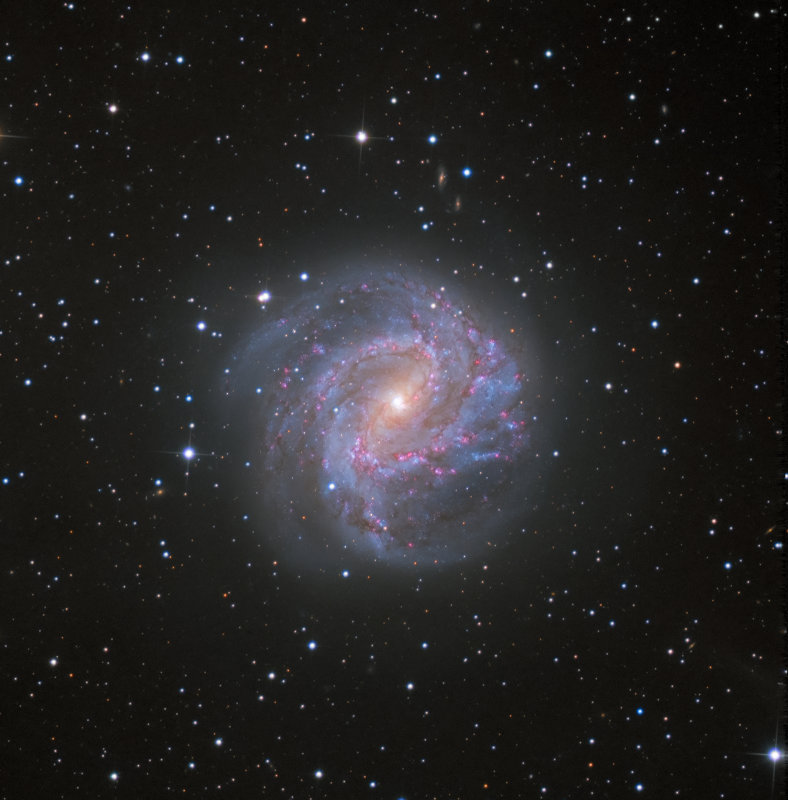M83 Southern Spiral Galaxy
