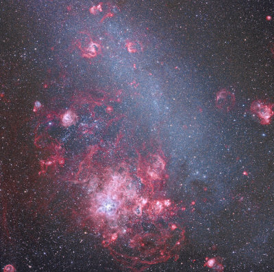 The Large Magellanic Cloud