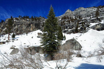 Sequoia_10665web.JPG