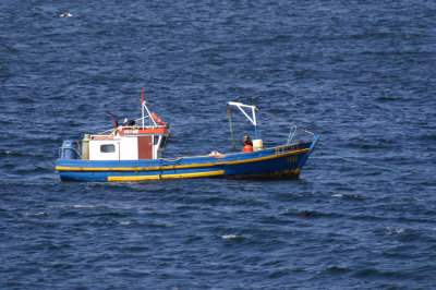 IMG_0695-boat-blue.jpg