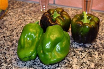 2006 August 3, Peppers