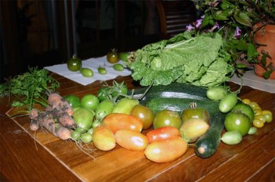 2006 Sept 15-16, Garden produce