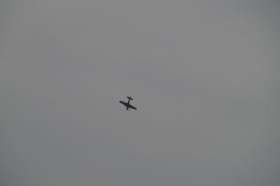 DSC02178.JPG