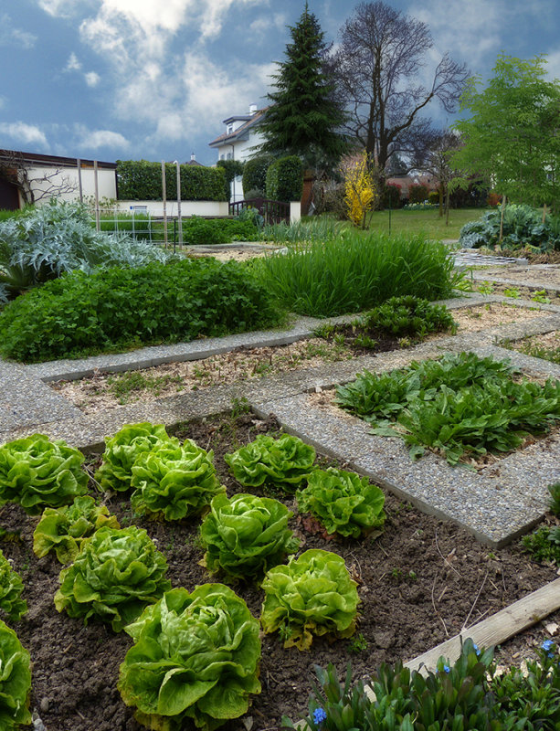 If you have a garden and a library...