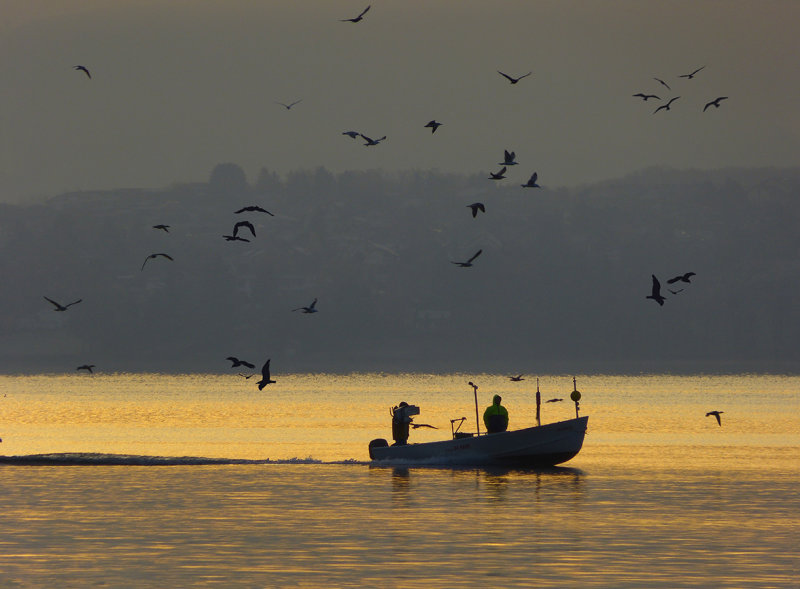 The fishermen come back at sunrise...