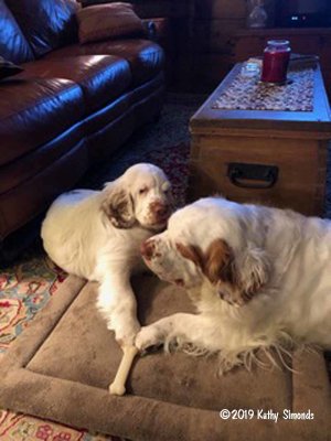 Winston,s Gallery Page(s) 1 Updated 3/8/2019