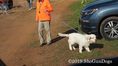 2019 CSCA Hunt 190317 015.jpg