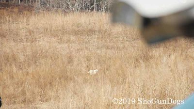 2019 CSCA Hunt 190317 023.jpg