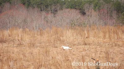 2019 CSCA Hunt 190317 039.jpg