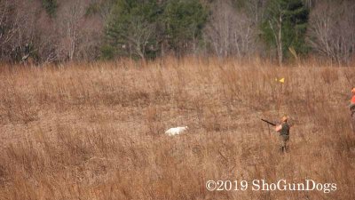 2019 CSCA Hunt 190317 046.jpg