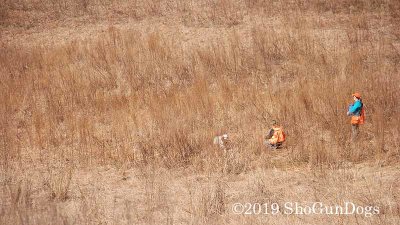 2019 CSCA Hunt 190317 065.jpg