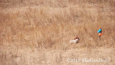2019 CSCA Hunt 190317 067.jpg