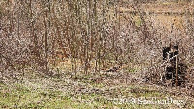 2019 CSCA Hunt 190317 090.jpg