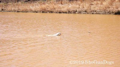 2019 CSCA Hunt 190317 095.jpg