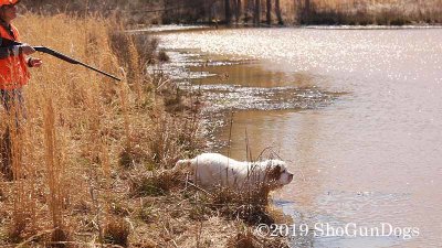 2019 CSCA Hunt 190317 113.jpg