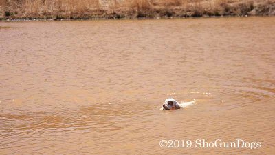 2019 CSCA Hunt 190317 117.jpg