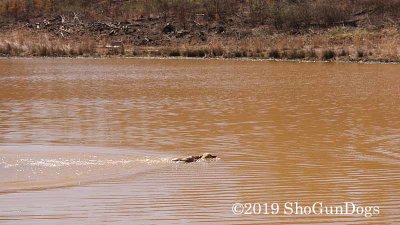 2019 CSCA Hunt 190317 120.jpg