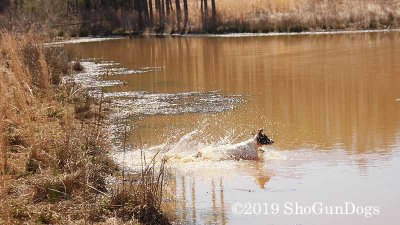 2019 CSCA Hunt 190317 132.jpg