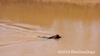 2019 CSCA Hunt 190317 140.jpg