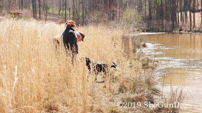 2019 CSCA Hunt 190317 148.jpg