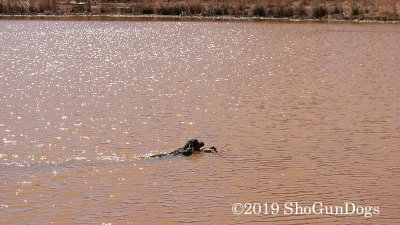 2019 CSCA Hunt 190317 151.jpg