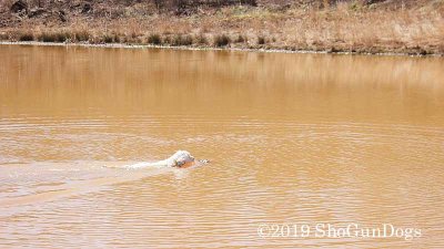 2019 CSCA Hunt 190317 163.jpg