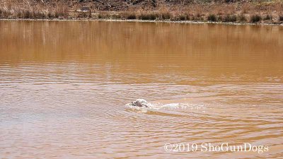 2019 CSCA Hunt 190317 165.jpg