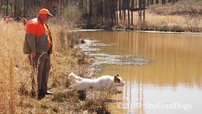 2019 CSCA Hunt 190317 169.jpg