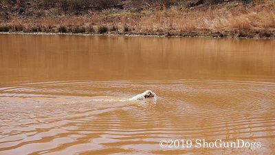 2019 CSCA Hunt 190317 171.jpg