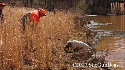 2019 CSCA Hunt  190317 172.jpg