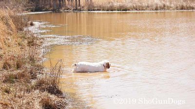 2019 CSCA Hunt 190317 176.jpg