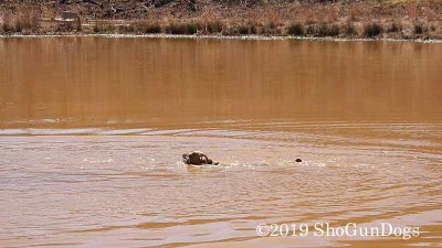 2019 CSCA Hunt 190317 184.jpg