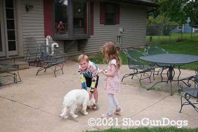 Minnow's ( was Grasshopper or Noname ) Gallery Page 1 Updated July 11, 2021