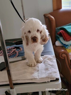 Jasper  221030 017.jpg