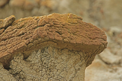 Rock-Formation-TRNP-0E8A7699.jpg